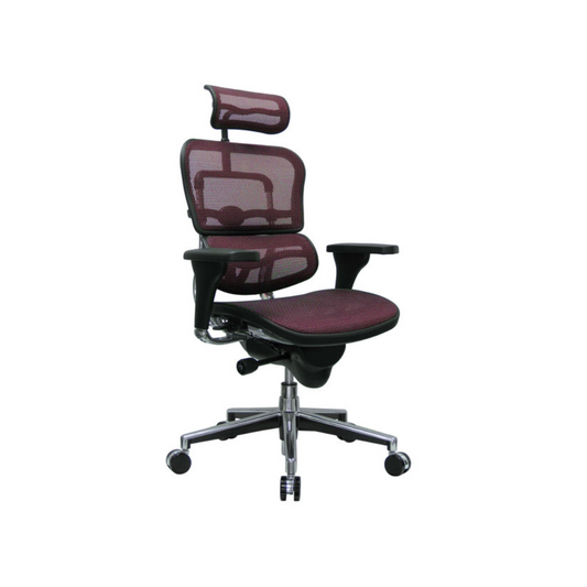 Eurotech Seating Ergo High Back Mesh